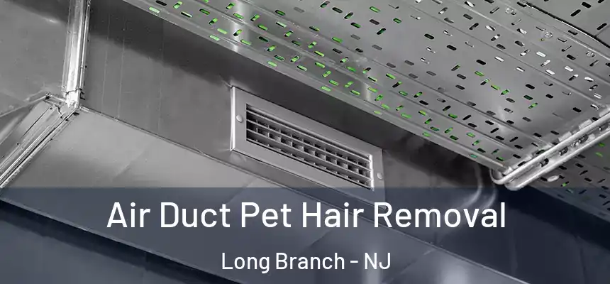  Air Duct Pet Hair Removal Long Branch - NJ