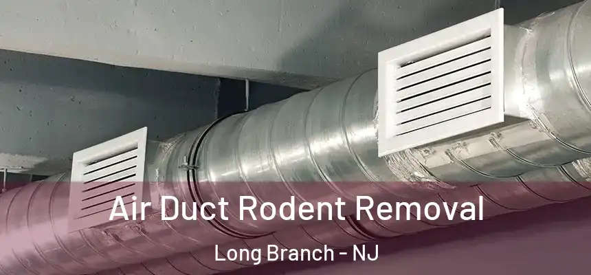  Air Duct Rodent Removal Long Branch - NJ