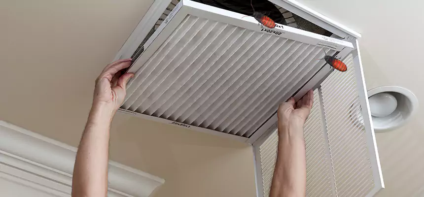 Preventive Cockroach-Proofing for Ducts in Long Branch