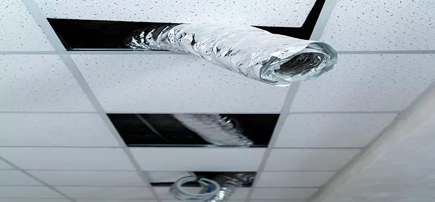 Our Air Duct Pet Hair Removal Services in Long Branch, NJ