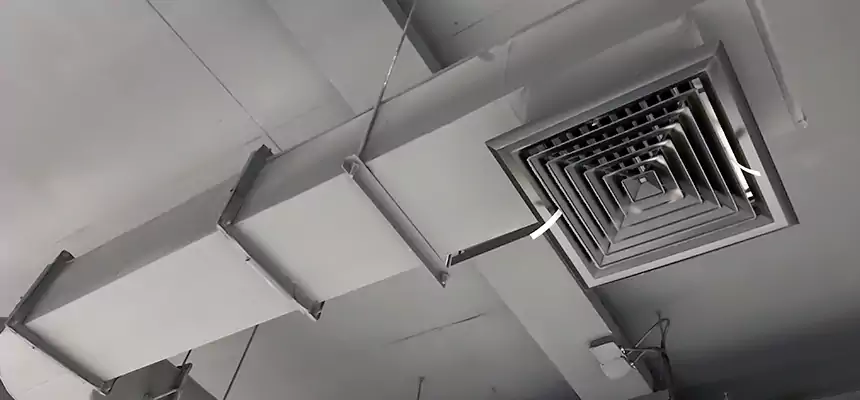 Our Pest Removal From Ducts Services in Long Branch, NJ