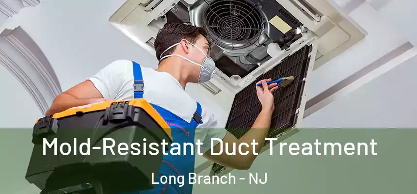  Mold-Resistant Duct Treatment Long Branch - NJ