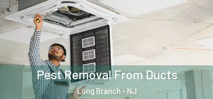 Pest Removal From Ducts Long Branch - NJ