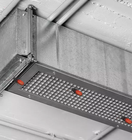 About Air Duct Cockroach Removal in Long Branch, NJ