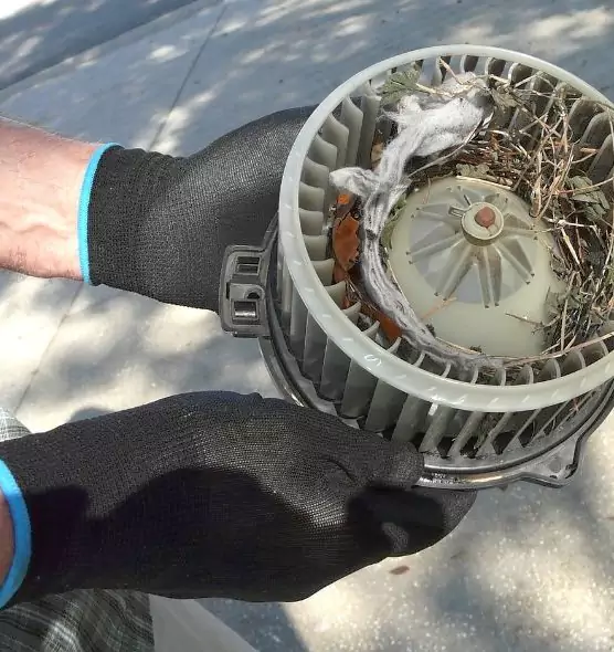 About Air Duct Mice Removal in Long Branch, NJ