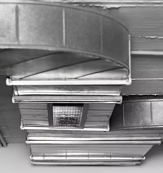 Professional Air Duct Pest Removal in Long Branch, NJ