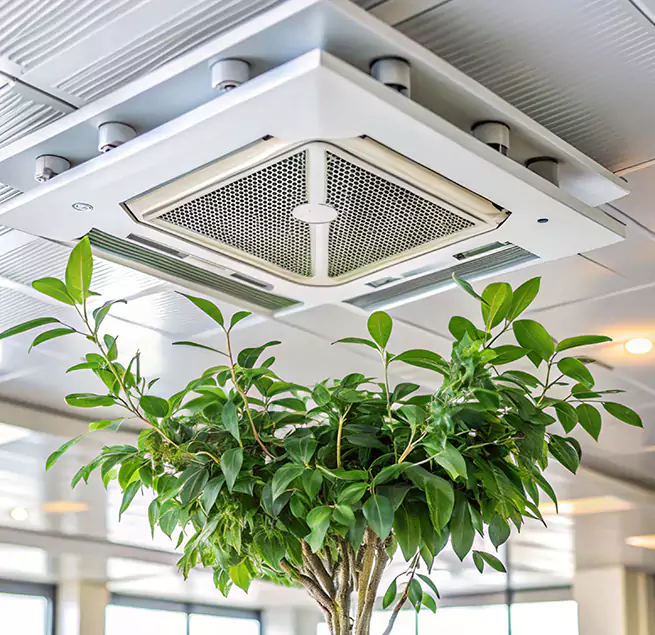 Why Homeowners & Businesses Trust Us in Long Branch, NJ?