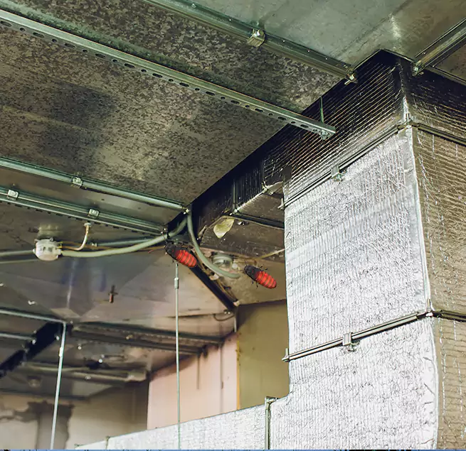 Why Homeowners & Businesses Trust Us Long Branch, NJ?