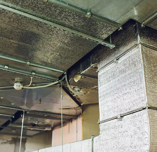 Why Homeowners & Businesses Trust Us in Long Branch, NJ?