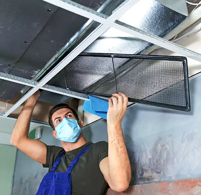 Why Homeowners Businesses Trust Us in Long Branch, NJ